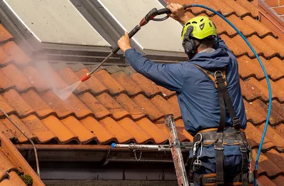 Démoussage et hydrofuge de toiture à Arnas